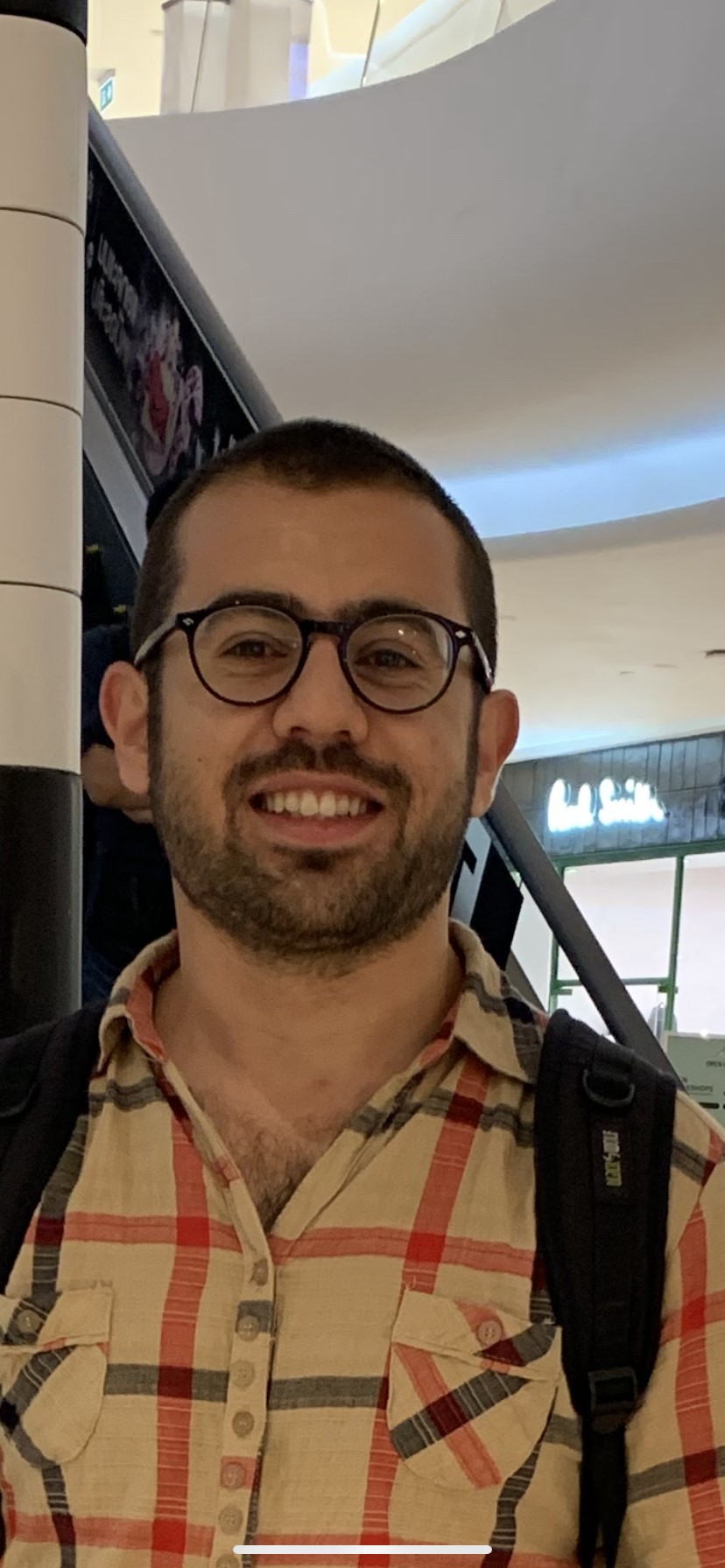 Anil Gogebakan